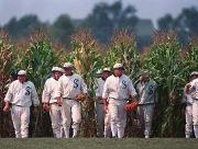 Field of Dreams - will they come?