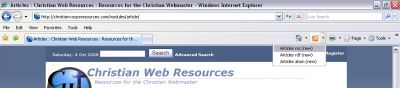 Internet Explorer 7 RSS options